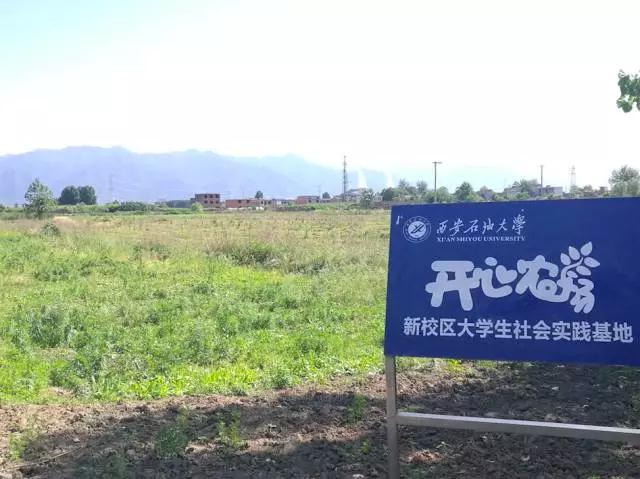 鄠邑区开心农场,西安开心农场果园