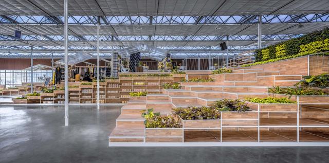 温室大棚种植常见的优点有哪些