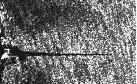 三十二式太极剑的十三种剑法,太极剑基本剑法20种示范