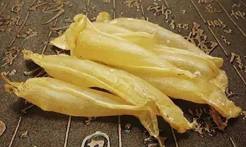 鱼胶知识大全视频,最全常识看完涨知识