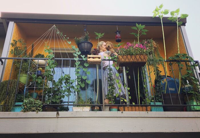 外国网友分享的风景,国外网友分享的风景