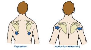 硬拉弓腰算成功吗,改善硬拉容易弓背的动作