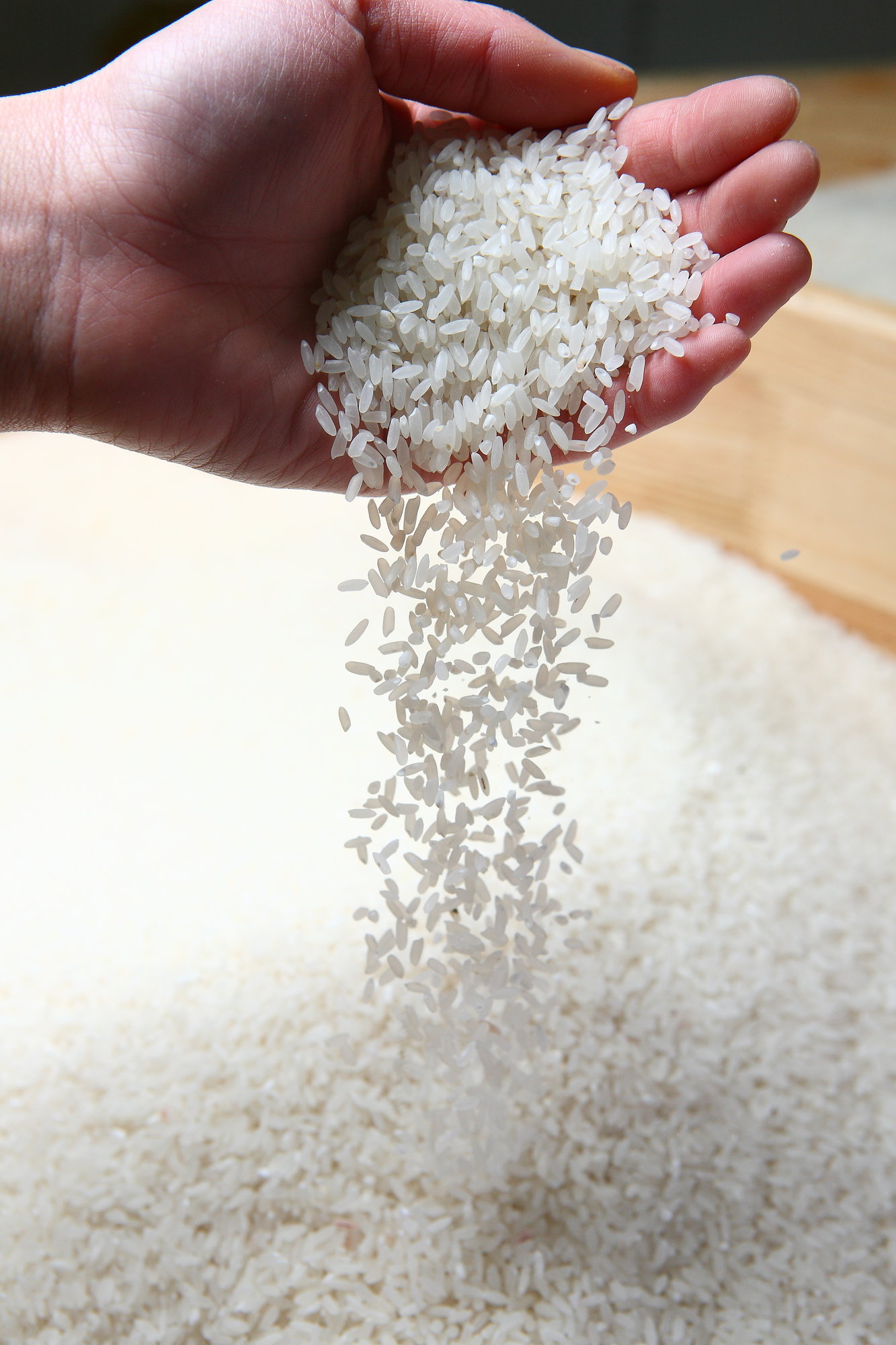 哪款电饭煲煮出来的米饭最好吃,日本哪种电饭煲煮的饭很香