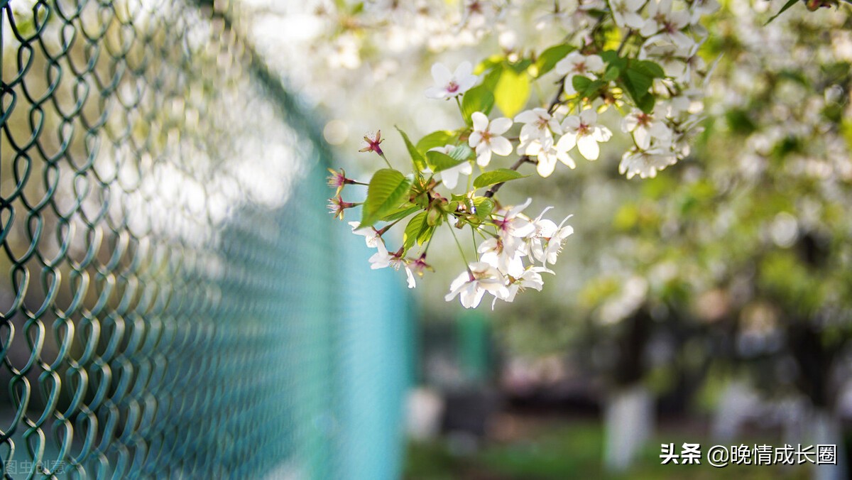 别把世态炎凉当回事,别把感情利用到极致