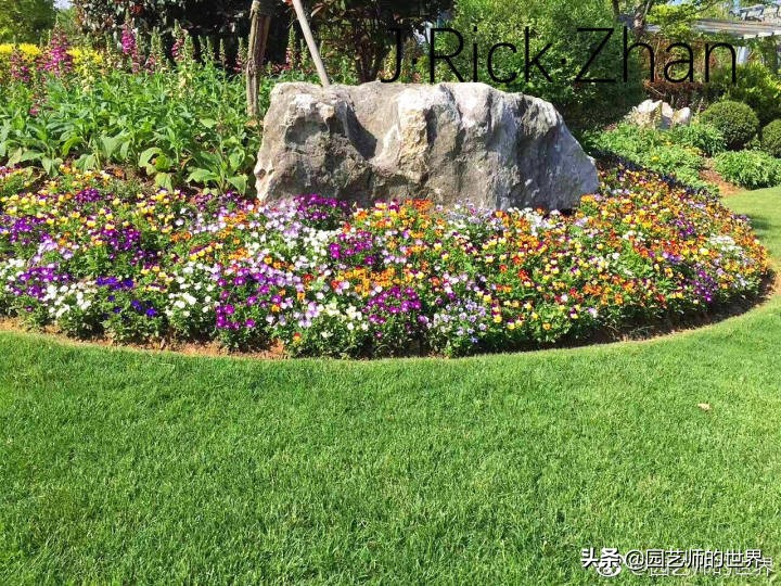 怎样种植草坪技术,果岭草坪的种植养护方法及技巧