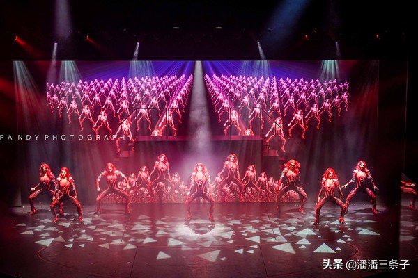 海洋光谱号升级精品游,海洋光谱号转港