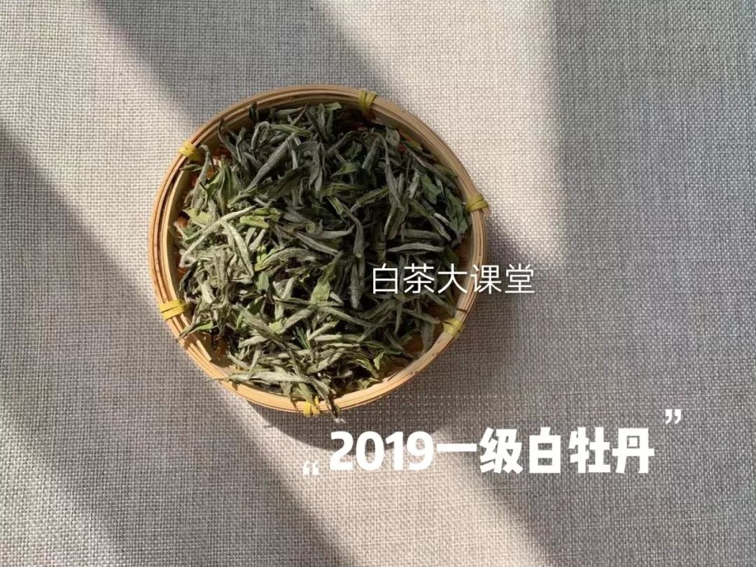白茶究竟是什么？喜欢茶的你，这三点不妨多看