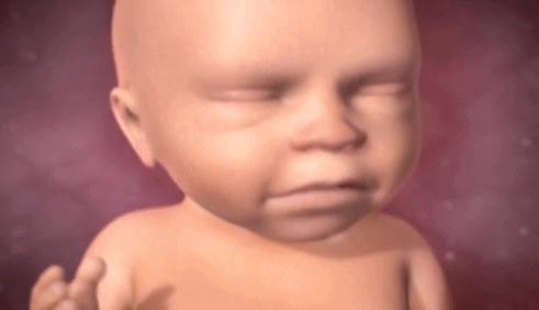 怀孕8个月胎儿发育到什么程度,怀孕八个月胎儿发育情况是怎样的