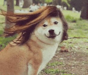 全欧了：外国人都在淘宝上买啥？欧洲人买假发，俄罗斯人买*袜丝**