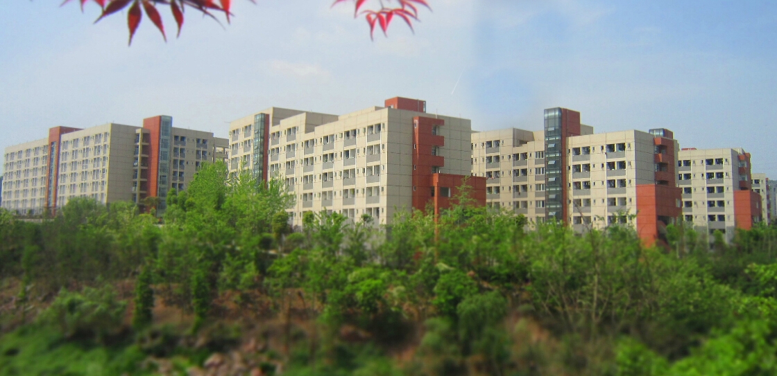 分数不高好就业的职业技术学院,重庆市200分的职业技术学院推荐