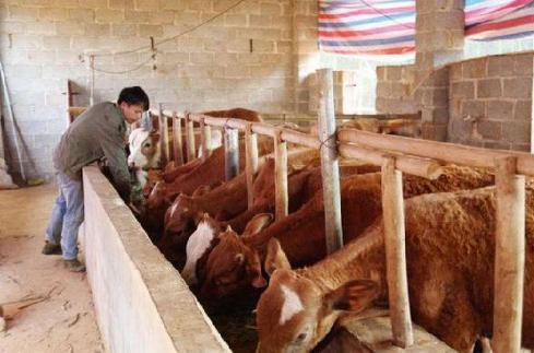 再谈思考致富一[写給农民兄弟的一封信]