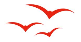 招聘167个岗位,招聘事业单位工作人员300名