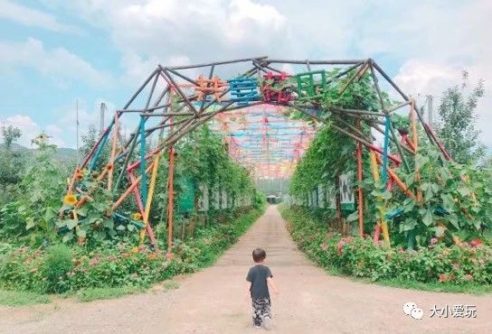 北京适合自驾户外烧烤的地方,北京野游烧烤好去处