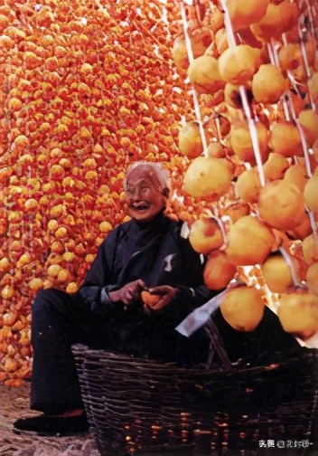 莱阳柿子枣,正宗山东莱阳梨香甜可口肉厚