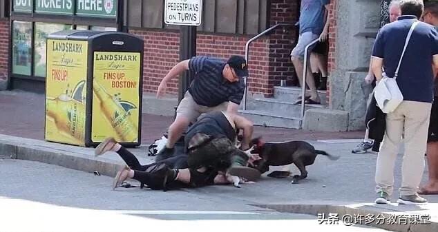 河北保定女童被2恶犬咬死，教你遇到恶犬咬人如何自救和救人