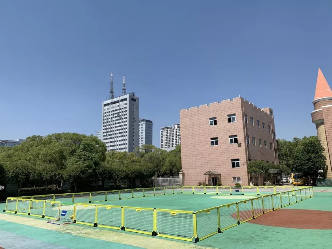 派迪茵体育股份有限公司,派迪茵训练器