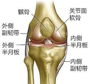膝关节下蹲疼痛有响声怎么治疗,膝关节疼痛有响声吃什么药