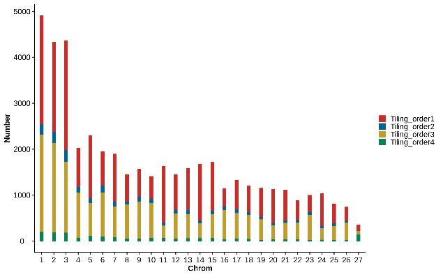 羊毛地毯,羊毛线编织地毯