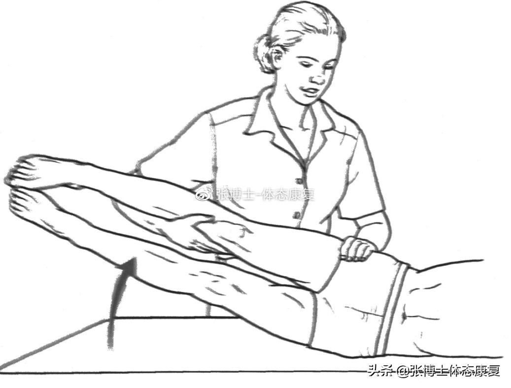 「功能训练」人体额状面稳定性与侧向子系统的关系