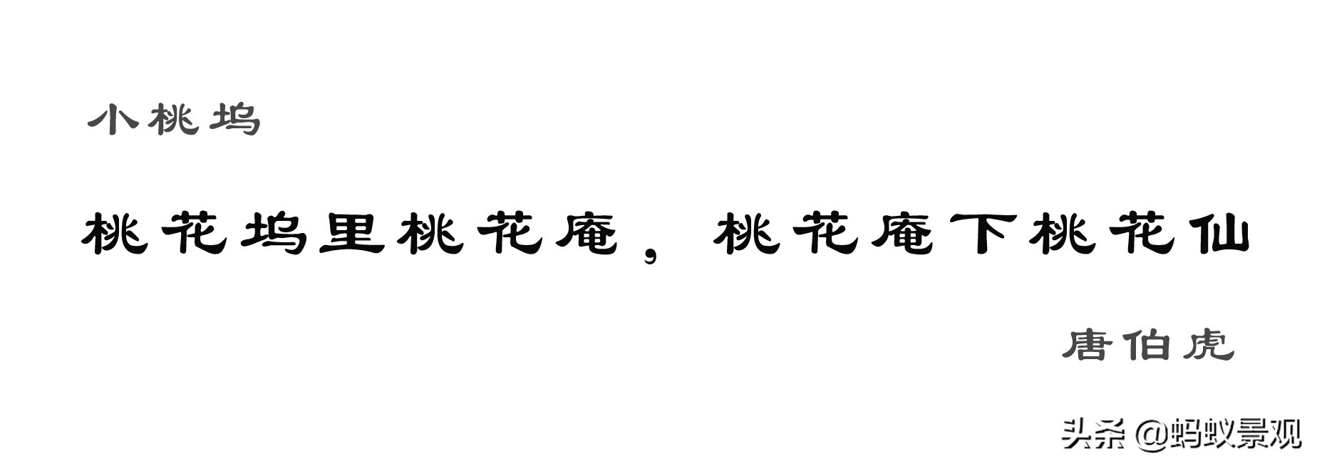 留园建筑布局照片,留园建筑景观内容