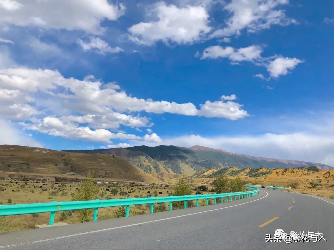 心理学基础知识社会心理学,心理学笔记全集