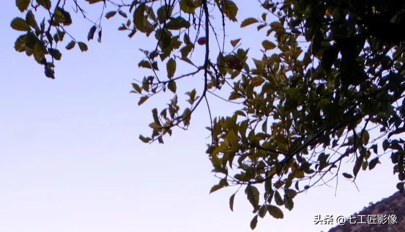 七工匠12mmf2缺点,七工匠12mmf2.8拍星空