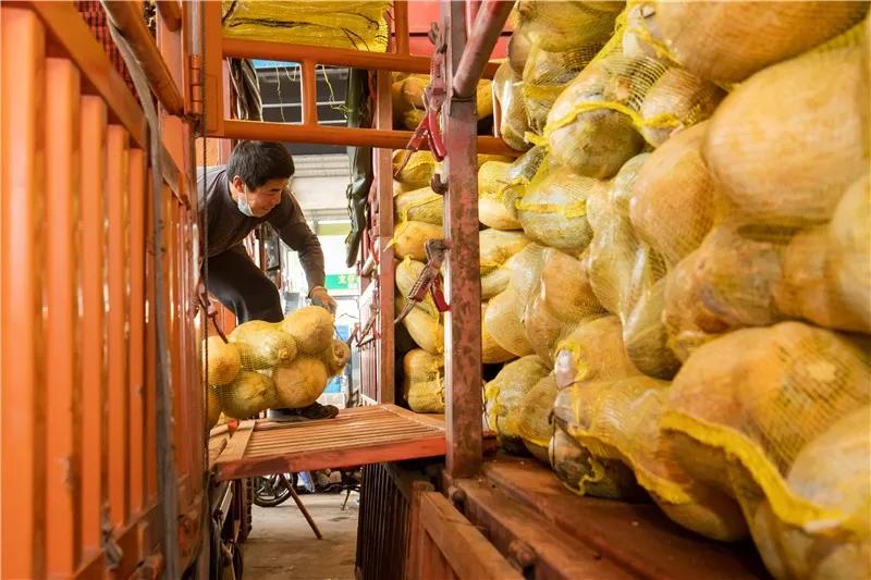 200万吨蔬菜驰援,驰援湖北漳浦18吨爱心蔬菜在路上
