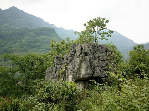 播种飞行单程票，回顾贵州双阳通航B-3898号机1993.3.24纳翁空难
