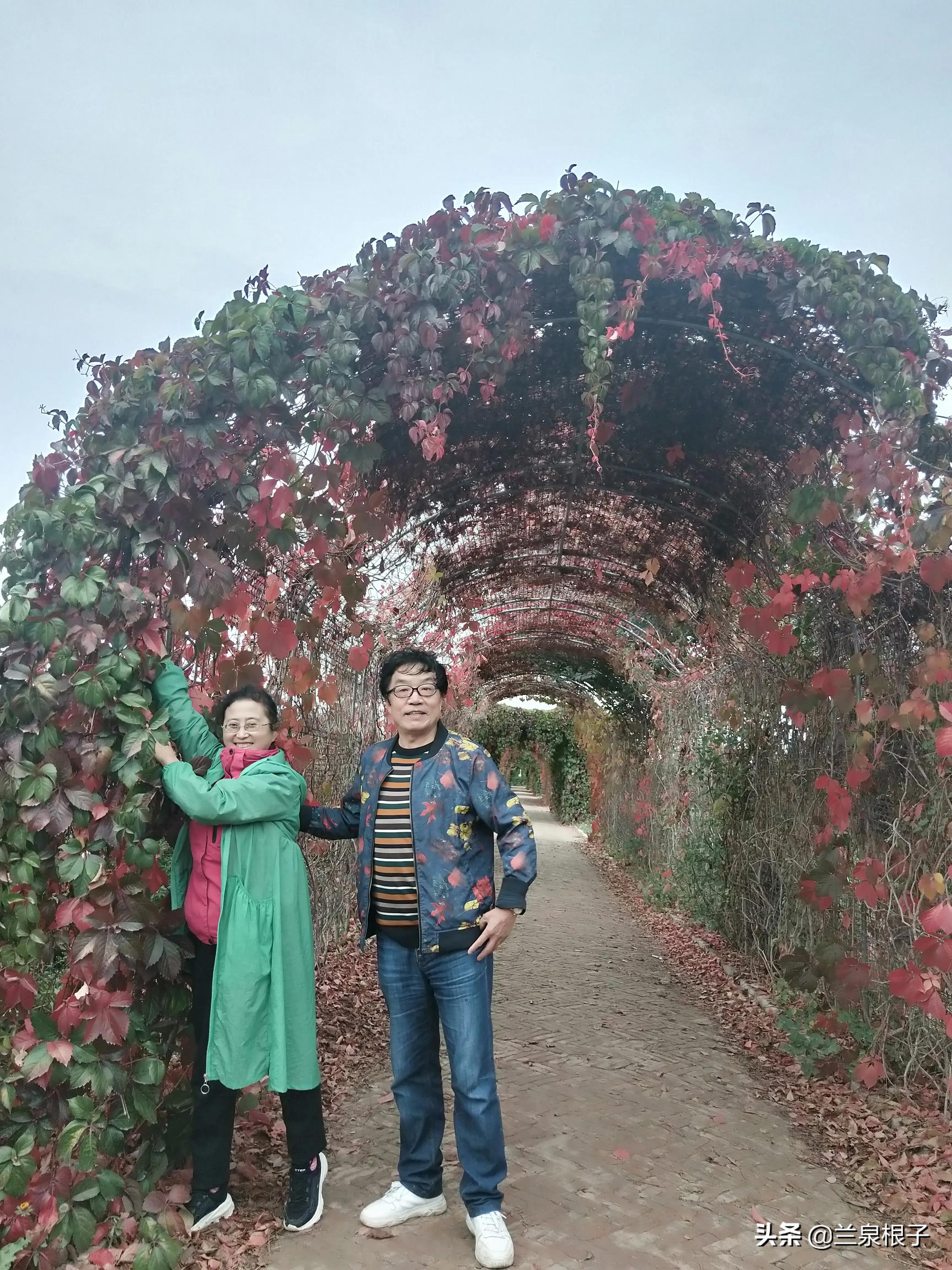 知青那些事儿全集,知青剧那些年那些事