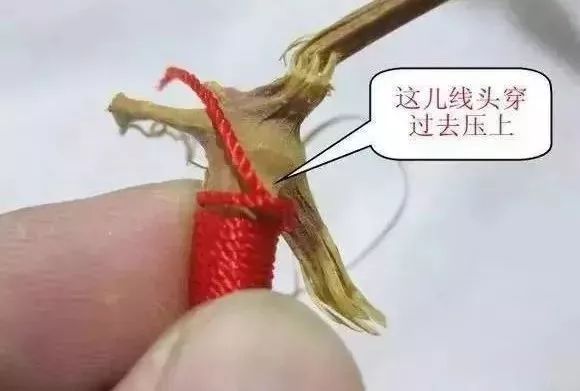 葫芦龙头断了怎么修剪,葫芦龙头怎么去掉