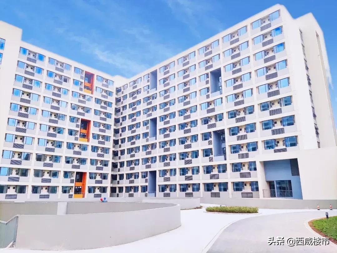 新增的231个学位是什么,5年内新增438万公办学位