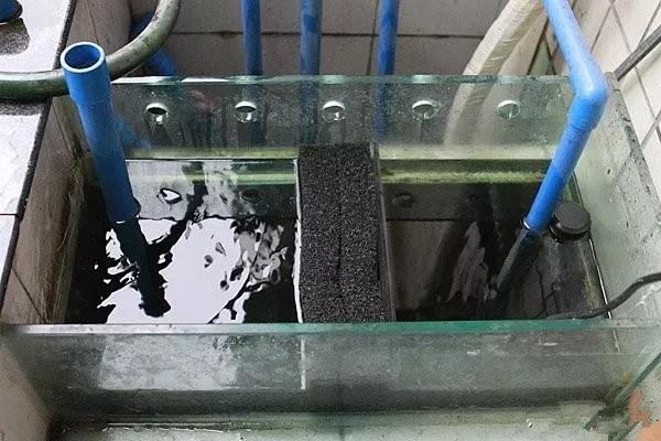 商铺顶露台怎么搭建不违法,顶楼露台改造鱼池