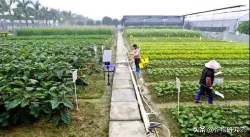 有机农场能赚钱吗,有机农场失败案例