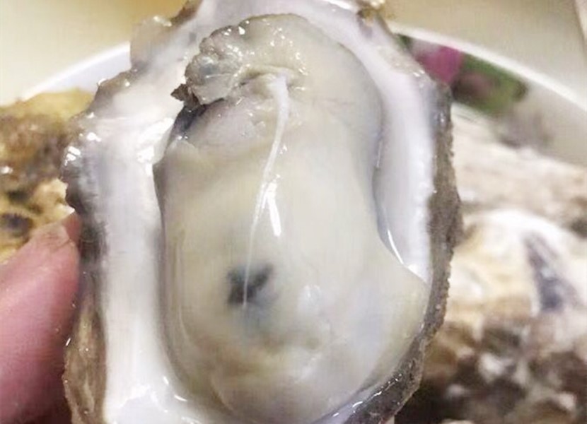 生蚝煮几分钟口感最好,煮生蚝时一般煮几分钟