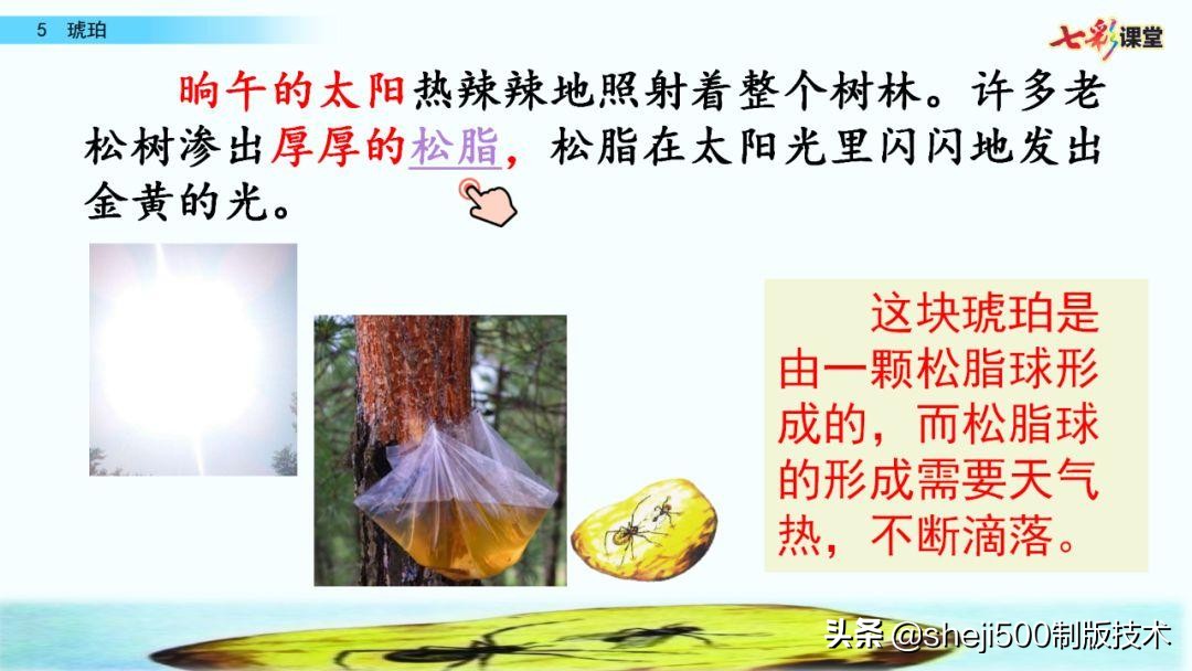 四年级语文下册第5课琥珀知识点,语文书四年级下册琥珀预习分段