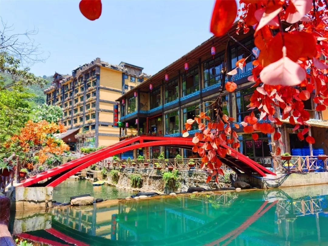 网红河谷要门票么,峡谷网红景点在哪里