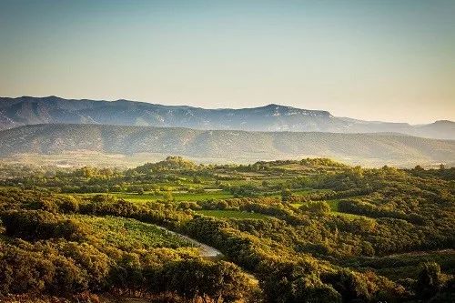 aoc产区是指哪些产区,法国有多少个aoc产区