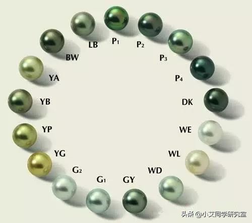怎么挑选真正的珍珠,珍珠种类太多了怎么简单识别