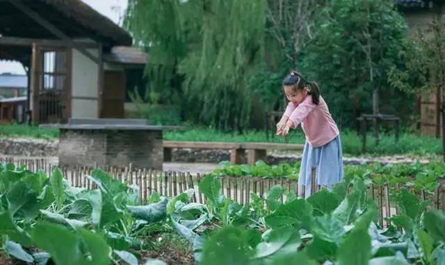 如何打造休闲旅游型美丽乡村,乌村乡村振兴