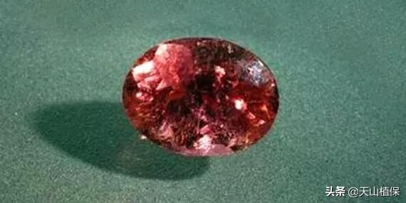 怎么捡到价值极高的石头,捡到一块石头价值千万