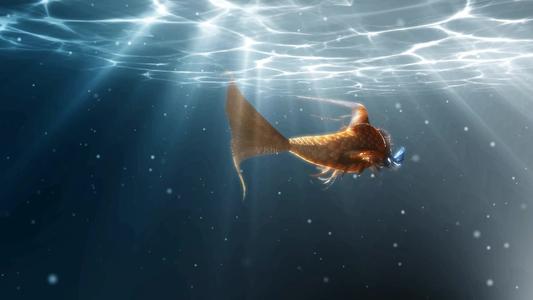 上海5g创新发展趋势,上海运用5g技术创新