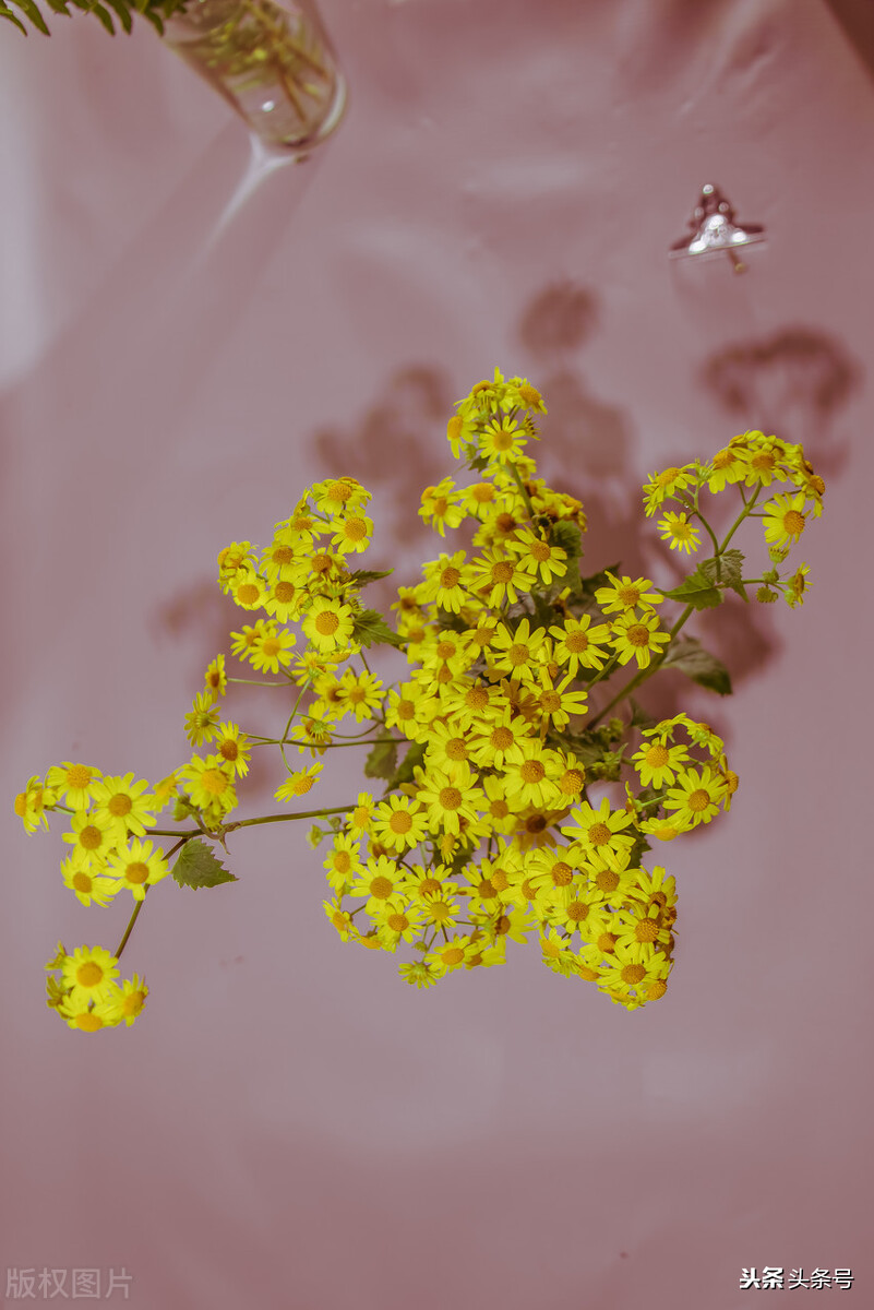 怎么让自己变得开心起来,焦虑症怎样让自己变得开心