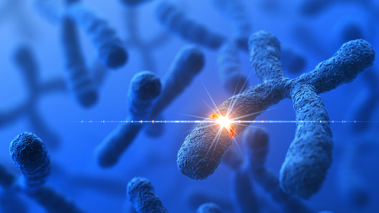 狗交配为什么要闭锁半小时？人类为什么没有进化出这种方式？