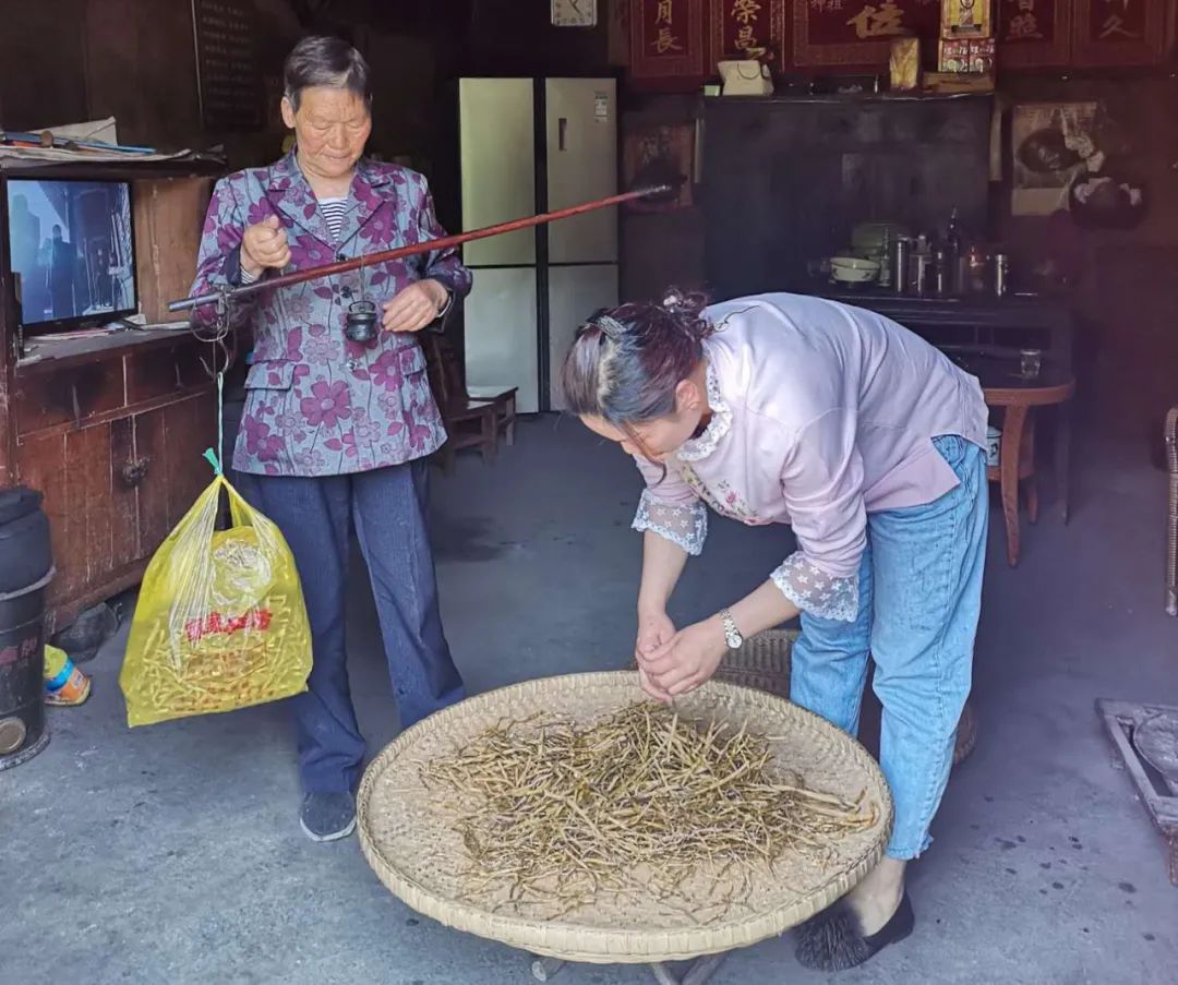 巾帼青年电商致富路——记宋家镇电商服务站返乡青年柴伦敏