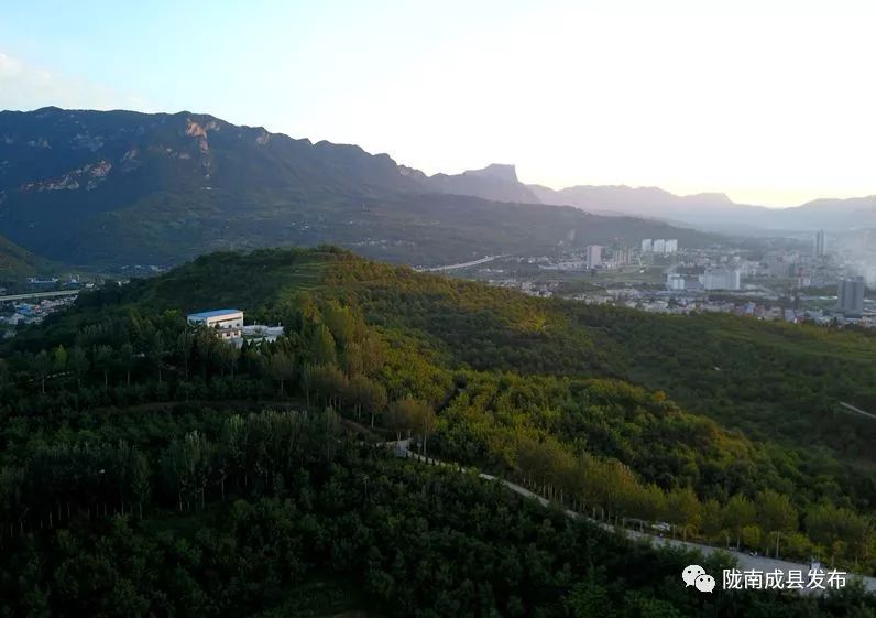 我叫成县，这是我2019年的自拍照~