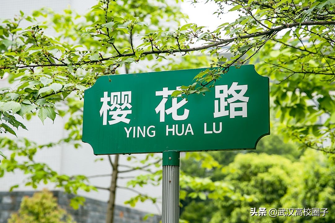 爸妈我想回家视频,爸妈我想回家了原视频