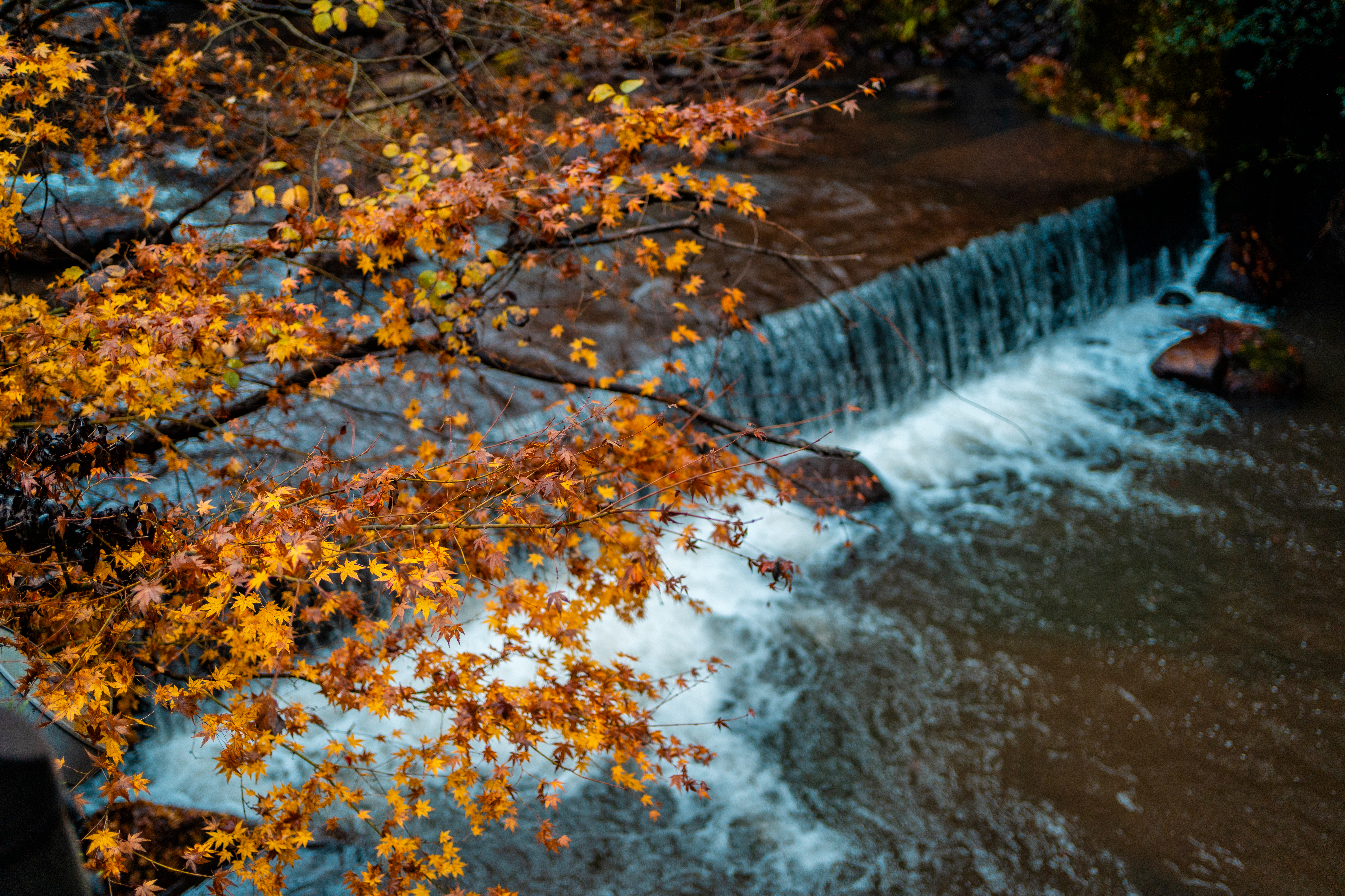 超级小众的日本旅游,日本九州游玩