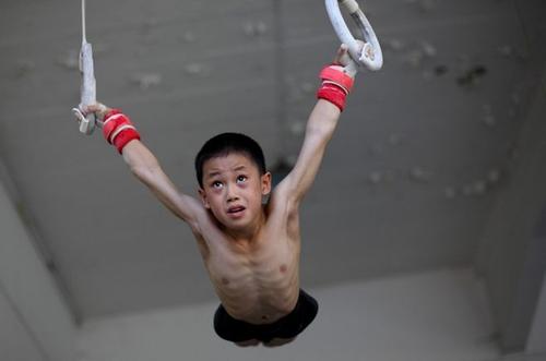 娱乐圈明星体育方面有多厉害,娱乐圈很危险吗