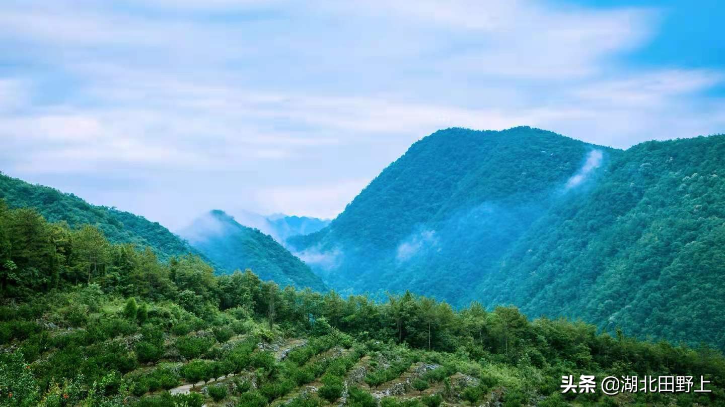 推荐的民宿采摘,浙江隐匿山野的民宿桃源仙境