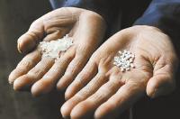 大米和塑料哪个贵,塑料造大米事件